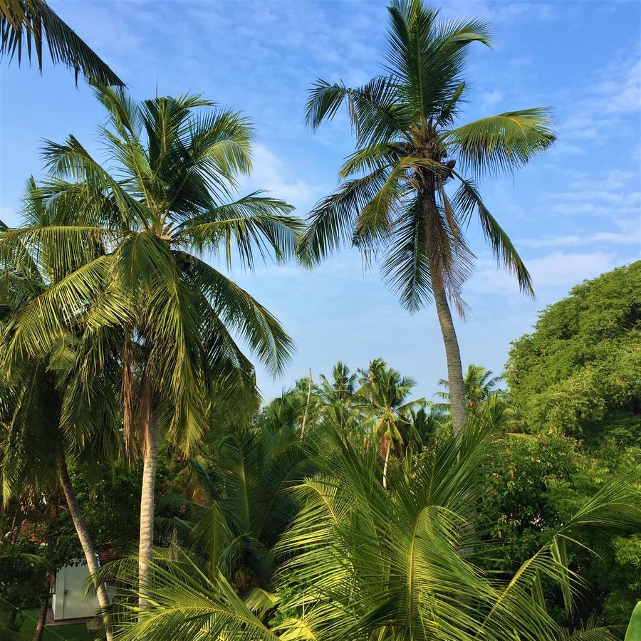 Chill Space Negombo Luaran gambar